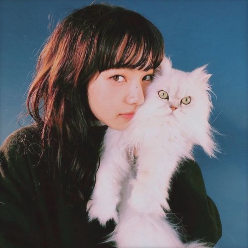 「持更」自己收集的小松菜奈头像