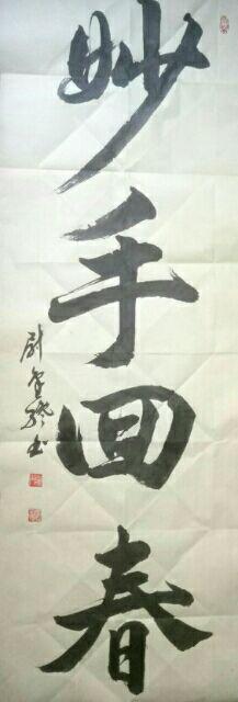 书法作品:妙手回春