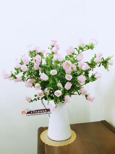 【王子花坊】云南鲜花/新品/风铃花/家庭插花/特价包邮