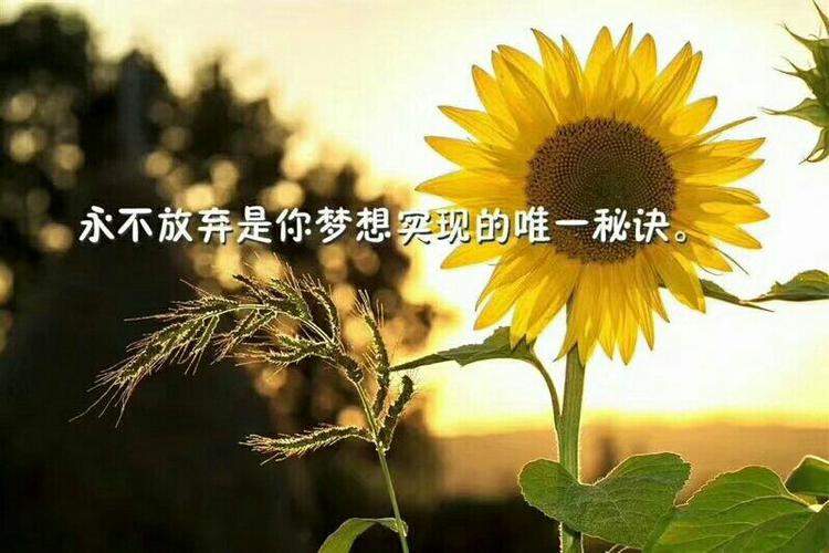 信心百倍,斗志昂扬,全力以赴,六三最强!