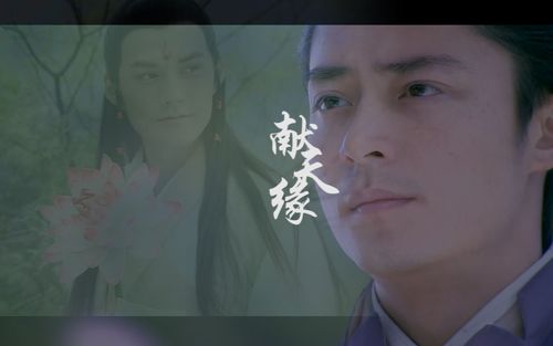 用或其他应用扫描二维码 点赞 背景音乐:献天缘 - 贾卿卿/vivian