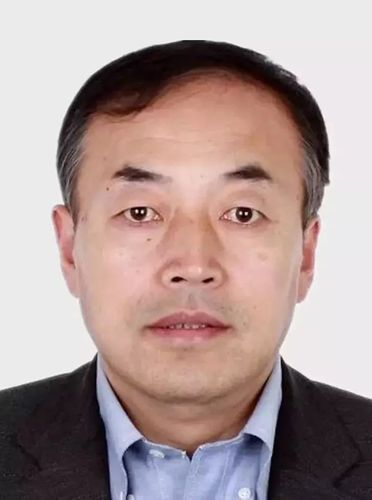 黑社会性质组织充当"保护伞"正接受监察调查 哈尔滨市税务局第二稽查