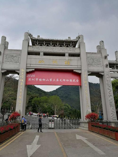 春风十里不如你,梧桐山上毛棉杜鹃等着你!-在线订票
