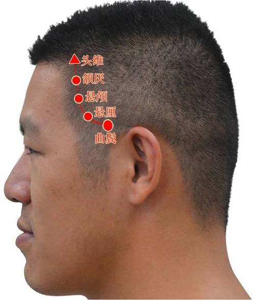 足少阳胆经腧穴定位有图有真相