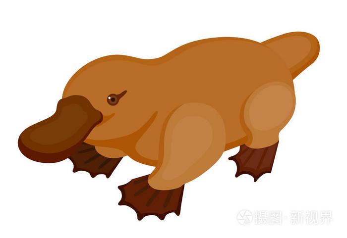 鸭嘴兽的可爱图标