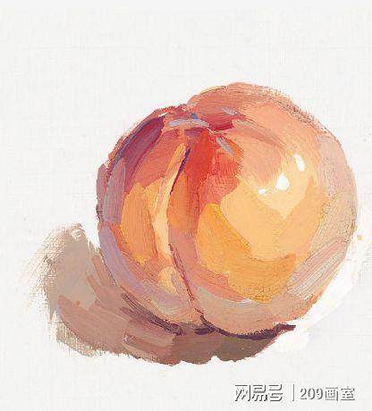 武汉209画室:初学适用的色彩静物单体步骤教学