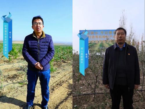 枸杞人参三七蜂蜜天猫双11道地滋补品怎么买原产地政府推介团了解一下