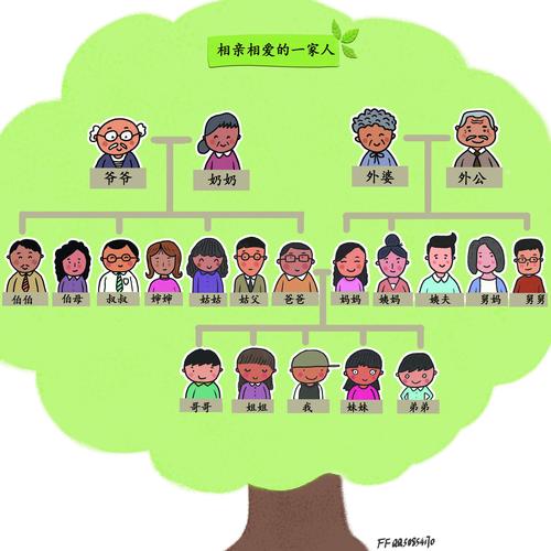家庭树 family tree
