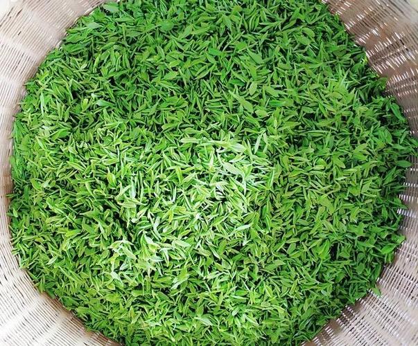 今天,耒阳龙塘镇这两个地方刷爆了朋友圈!_江头