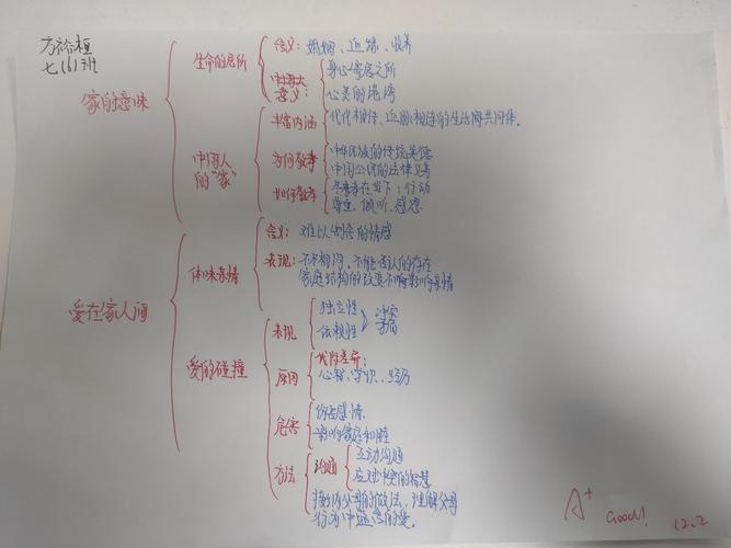 道法优秀思维导图