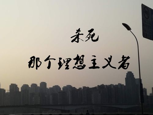 杀死那个理想主义者