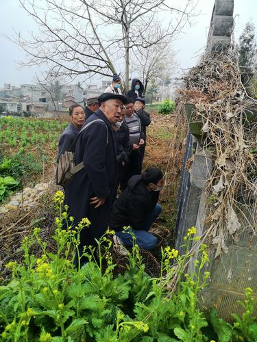 毕节杨家湾战坡看有华坟墓