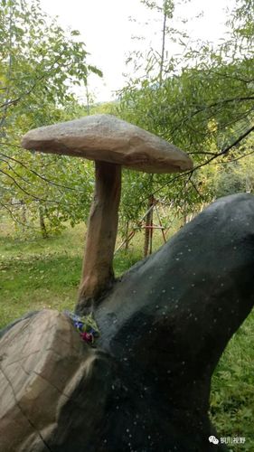 中国处处是美景闲暇时候出去转转就会有不同的收获