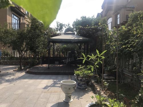 淄博碧桂园(别墅)