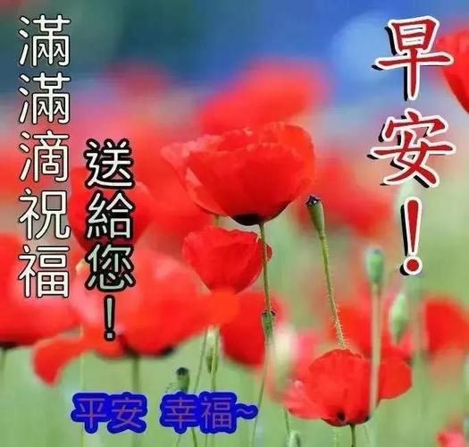 11张最唯美的早安图片带字,漂亮好看的美女早上好问候
