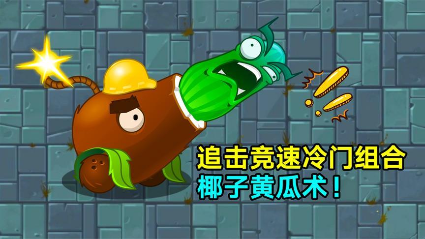 椰子加农炮:非我莫属!