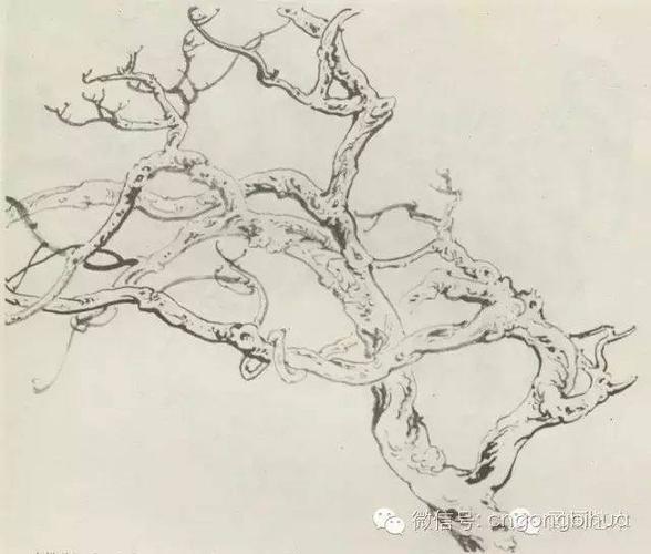 怎样画紫藤