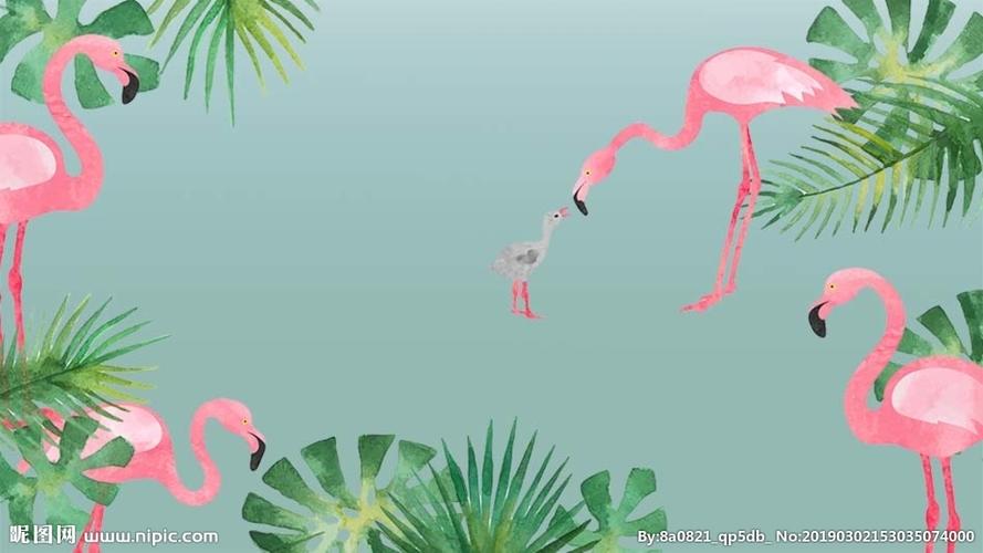 火烈鸟热带植物桌面背景图片