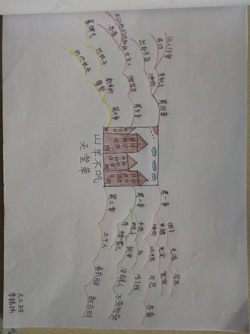六三班学生思维导图作品