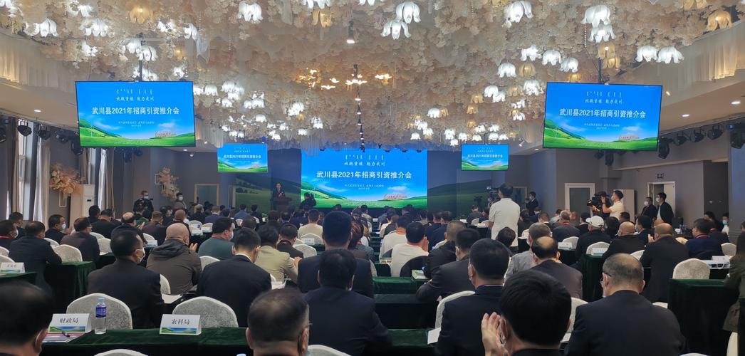 推介会上,县委常委,政府副县长齐璞作了武川县招商引资项目推介;县委