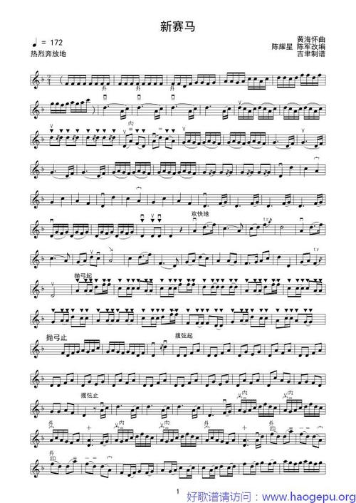 新赛马(二胡独奏)线谱