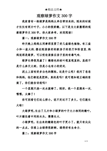 观察绿萝作文300字.doc