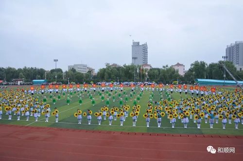 松烟镇中心校,青城镇九年一贯制学校,平松乡九年一贯制学校,松烟中学