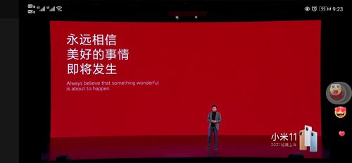 sina.weibo.jpg