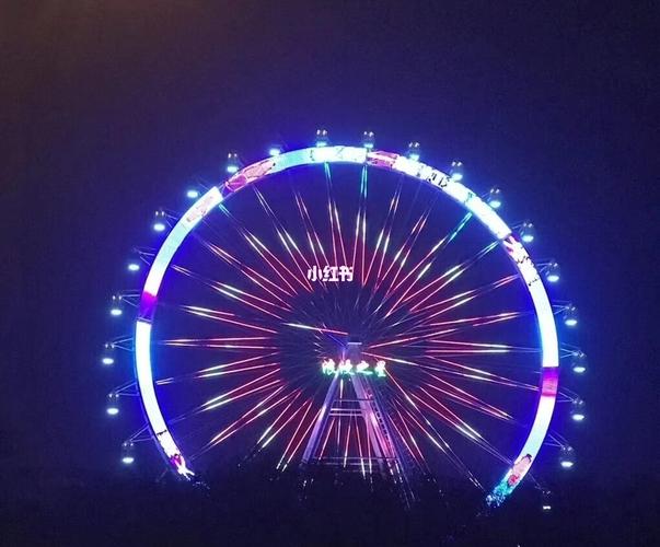 浪漫之星摩天轮99_摩天轮_浪漫_夜景_大连森林动物园-南门_星海湾跨