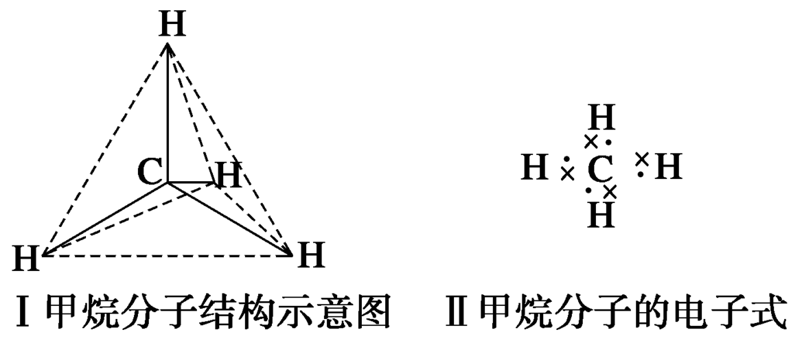 甲烷分子具有正四面体结构 c.