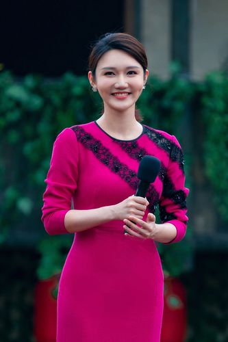 根据现场观众透露,今年主持人为:尼格买提,李思思,龙洋,张韬.