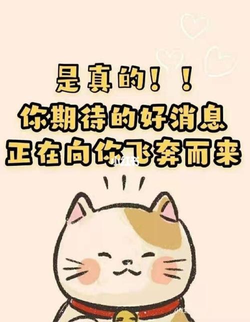 素材_表情包