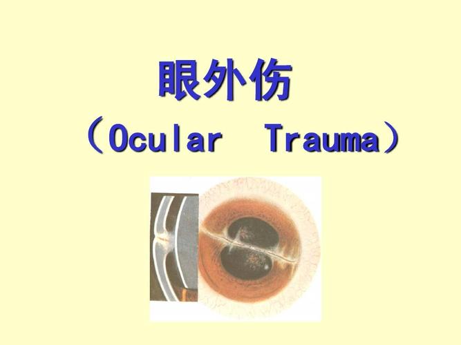 眼外伤 (ocular trauma)