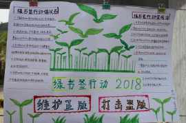 护草2019绿书签行动手抄报 2018手抄报