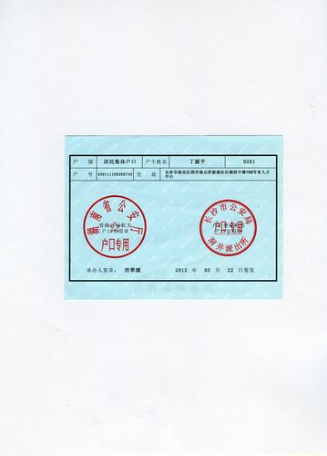 户主页-丁丽平