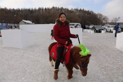 玩冰踏雪,来净月雪世界骑奔驰小矮马!