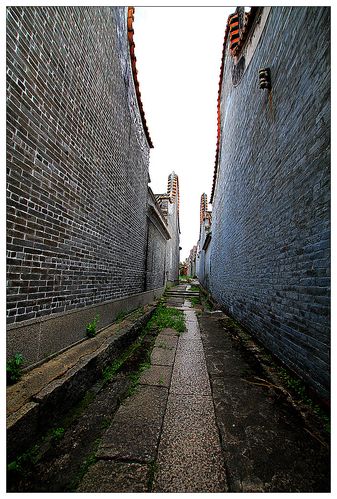 花都茶塘村随拍 (共p)