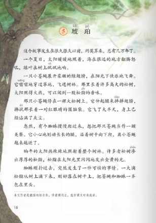 关于琥珀课文的手抄报 语文的手抄报