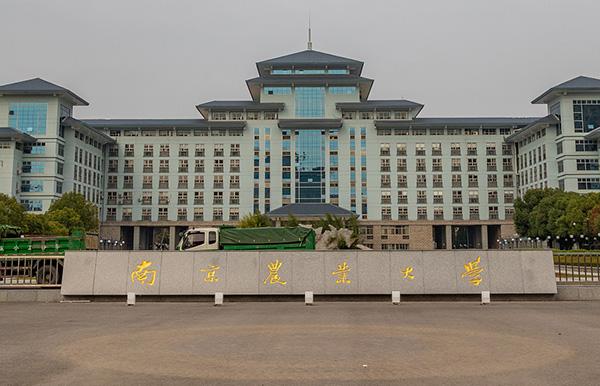 南京农业大学育成高产高抗水稻新品系:给水稻安装"报警器"