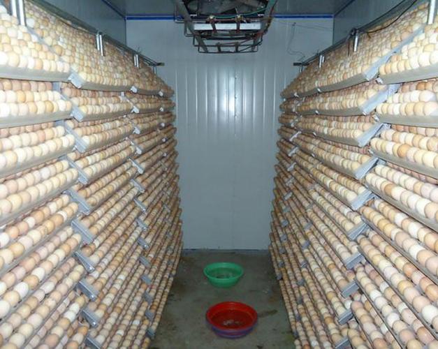 主题原创如何彻底清除孵化场孵化箱及种蛋上面霉菌