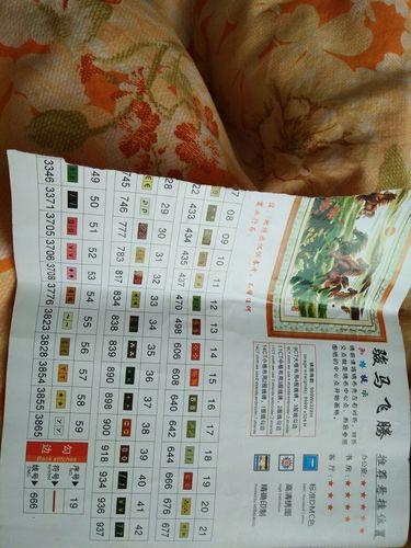 大家好,我的十字绣买了三四年了,线号表丢了一半谁有这张图纸帮我拍个