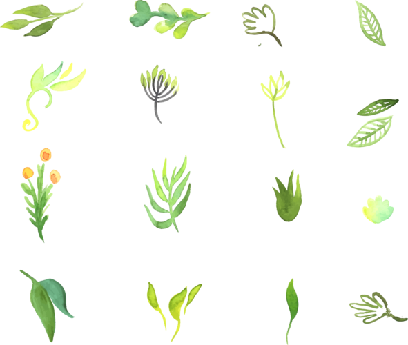 绿色系列水粉画植物图片