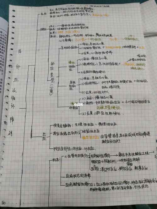 局部血液循环思维导 