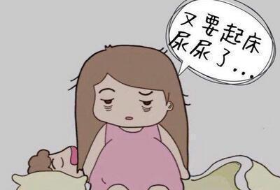 相信90%的孕妇都有尿频的症状,而我很不幸,刚怀孕,感觉尿频就找上身.