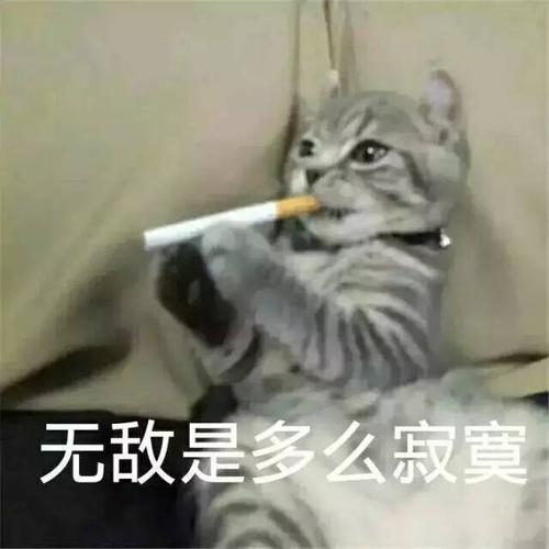 无敌是多么寂寞无敌寂寞多么表情