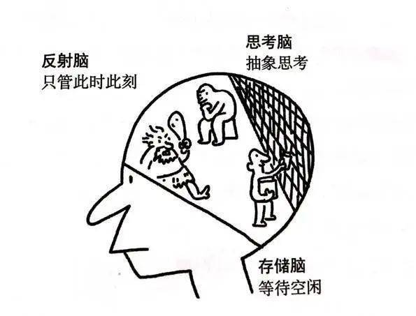 大脑重构——论习惯的底层机制_思考_反射_研究