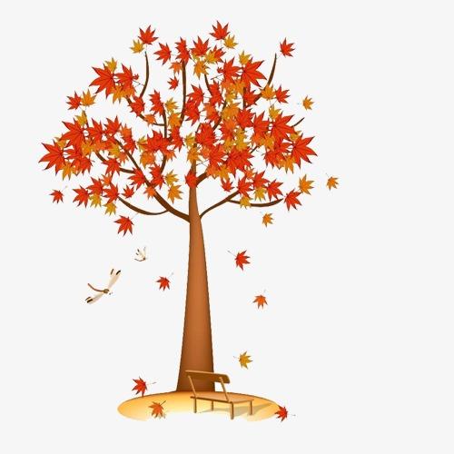 枫树黑板报素材