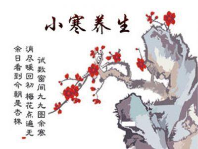 小寒养生菜怎么做有哪些食谱