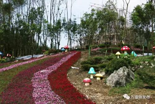丛林菌谷蘑菇总动员位于重庆市万盛经开区丛林镇绿水村,距重庆主城100