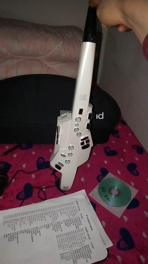 罗兰ae/10电吹管